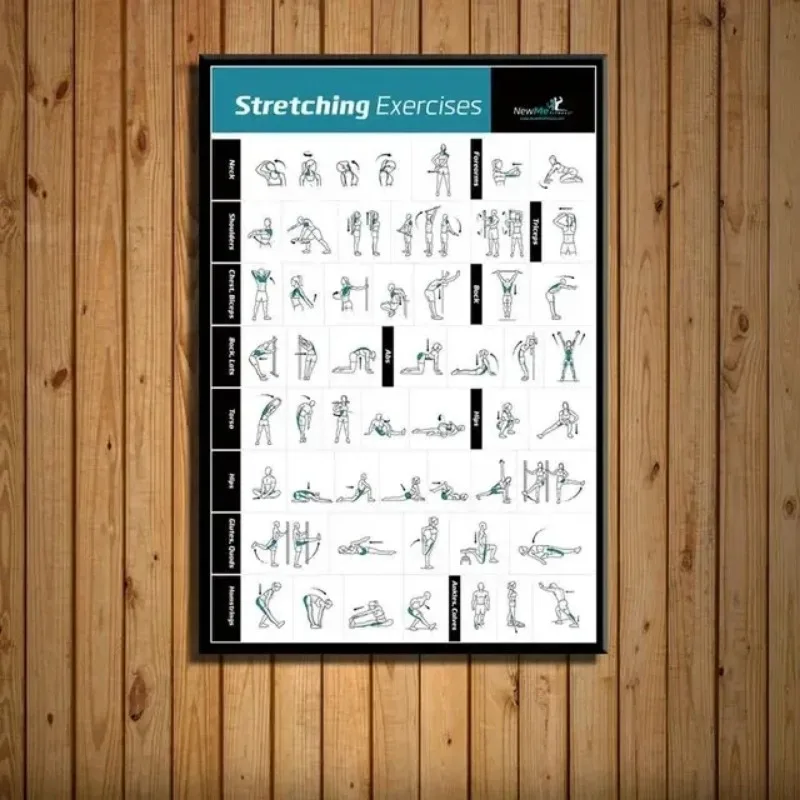 Body Exercise Training Chart G - огляд і ціна Badminton Poster